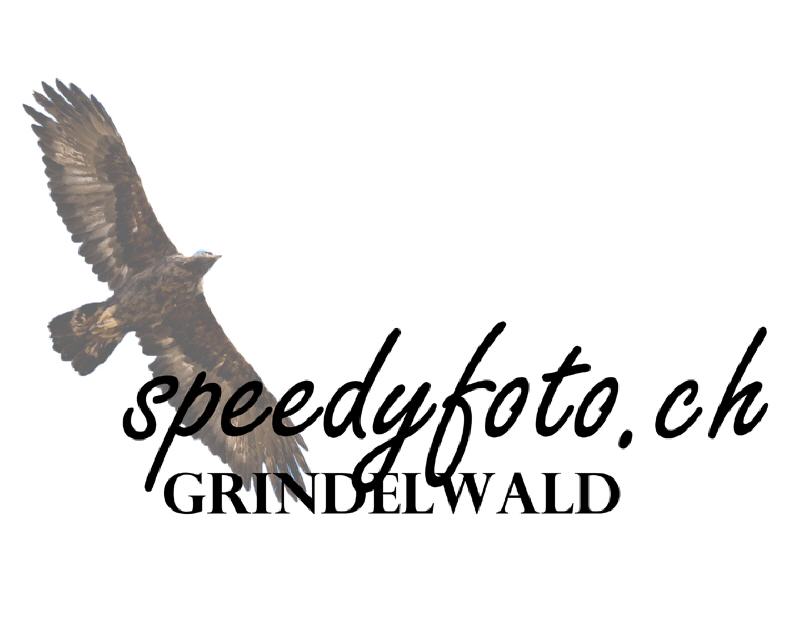 Speedyfoto Grindelwald